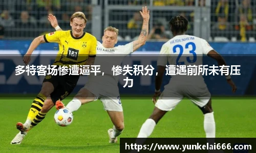 zoty中欧