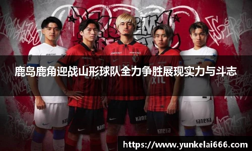 zoty中欧官网